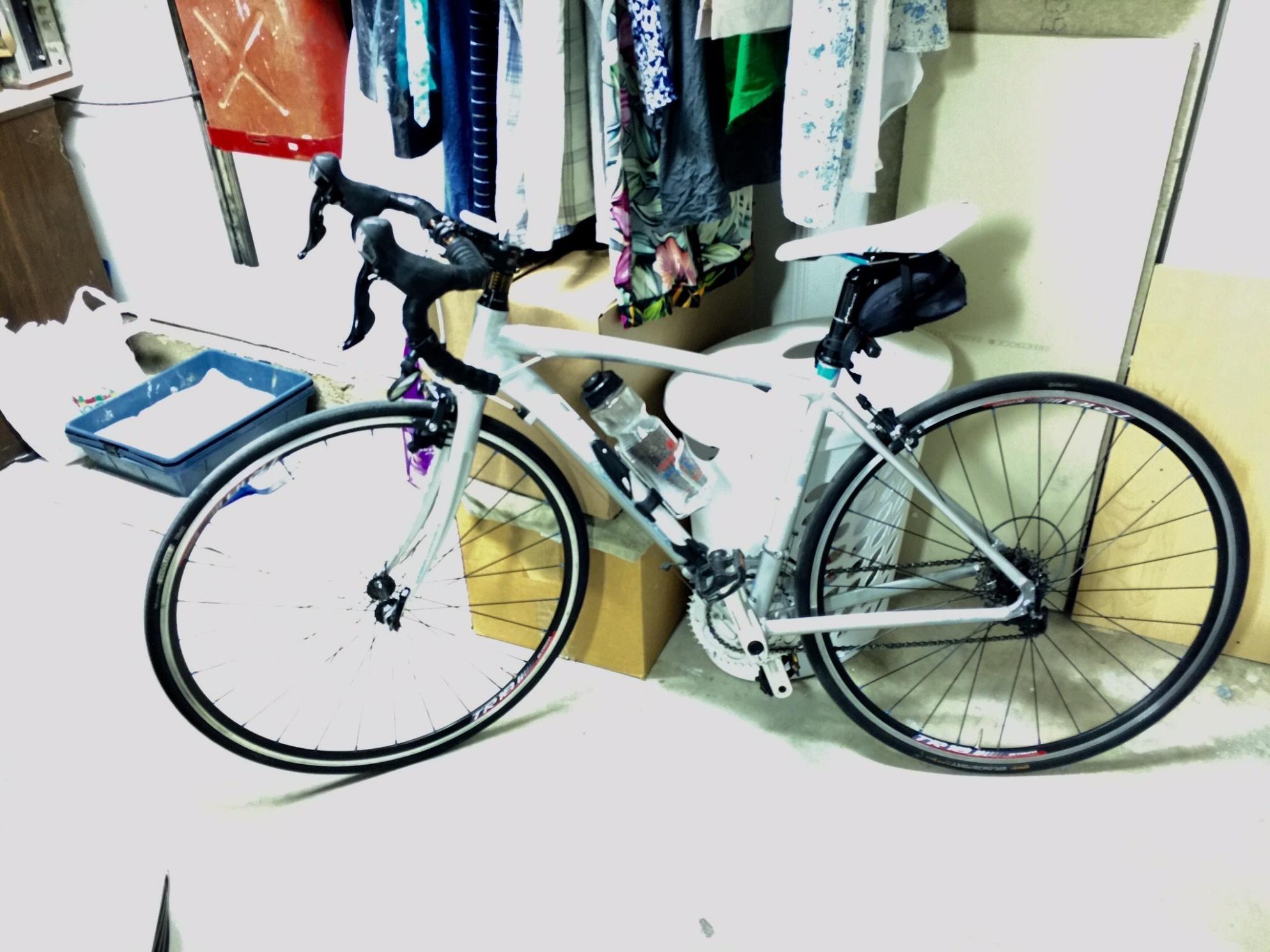 2011 Raleigh Capri 3.0 Silver or Gray