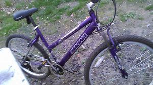 Magna Silver Canyon Purple