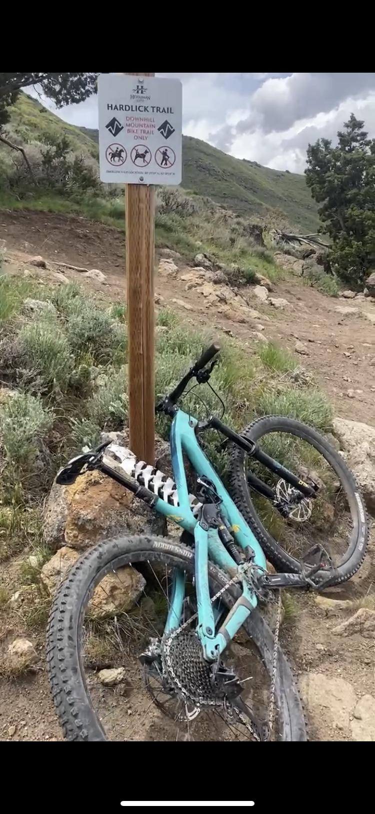 2019 Kona Process 153 Blue