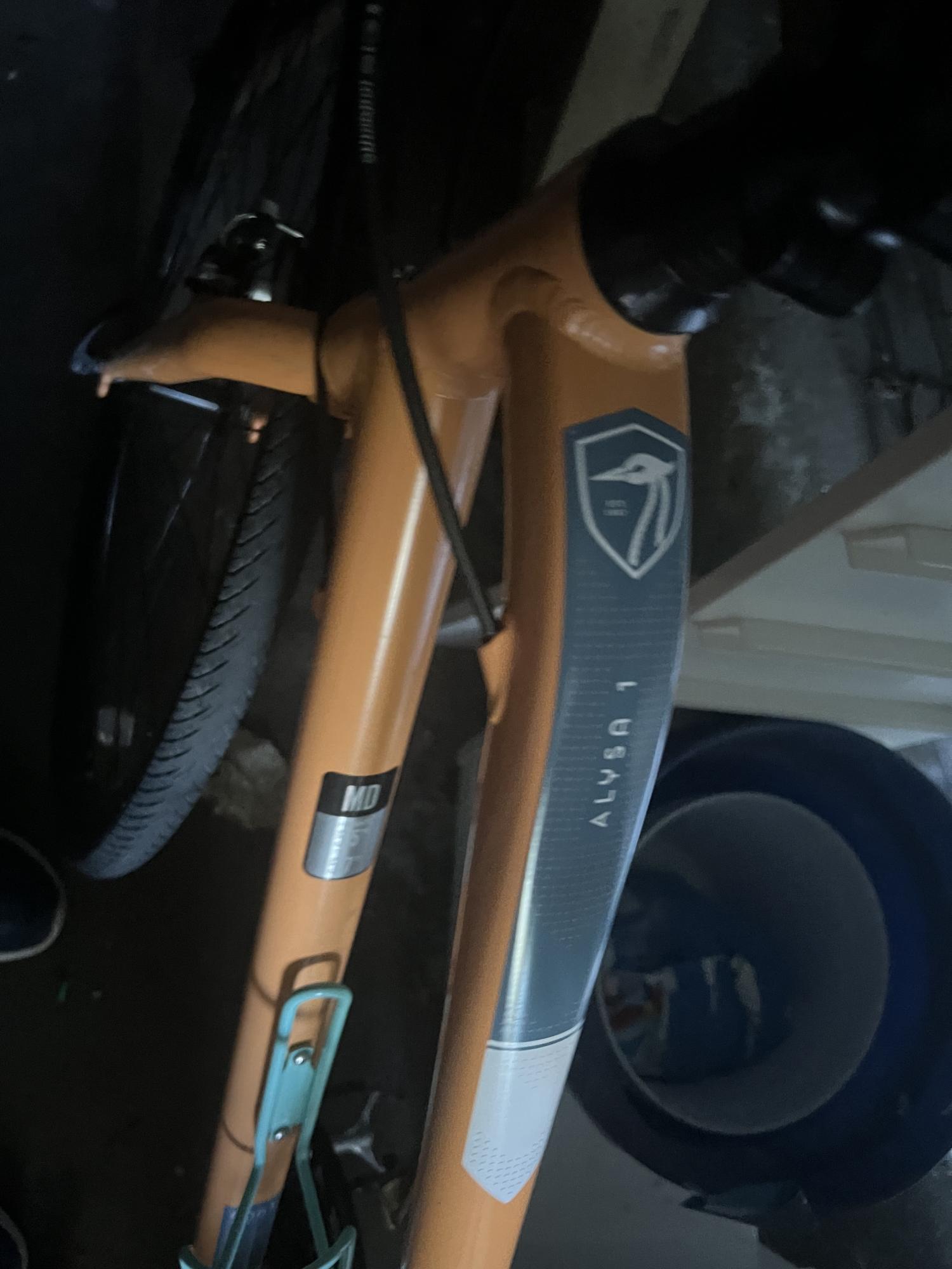 2017 Raleigh Alysa 1 Orange
