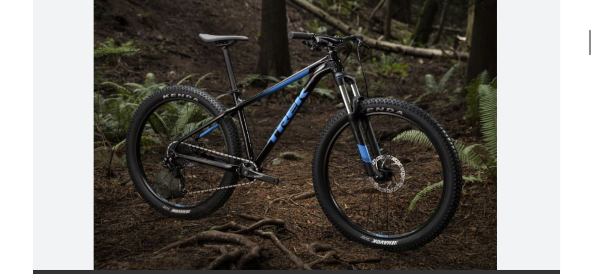 2019 Trek Roscoe 6 Black