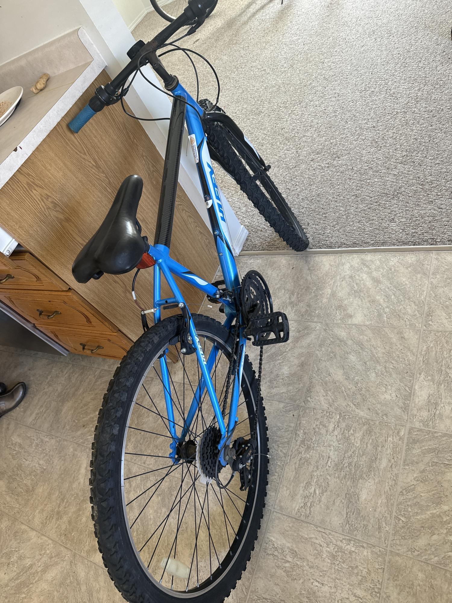 2024 Other Blue Blue