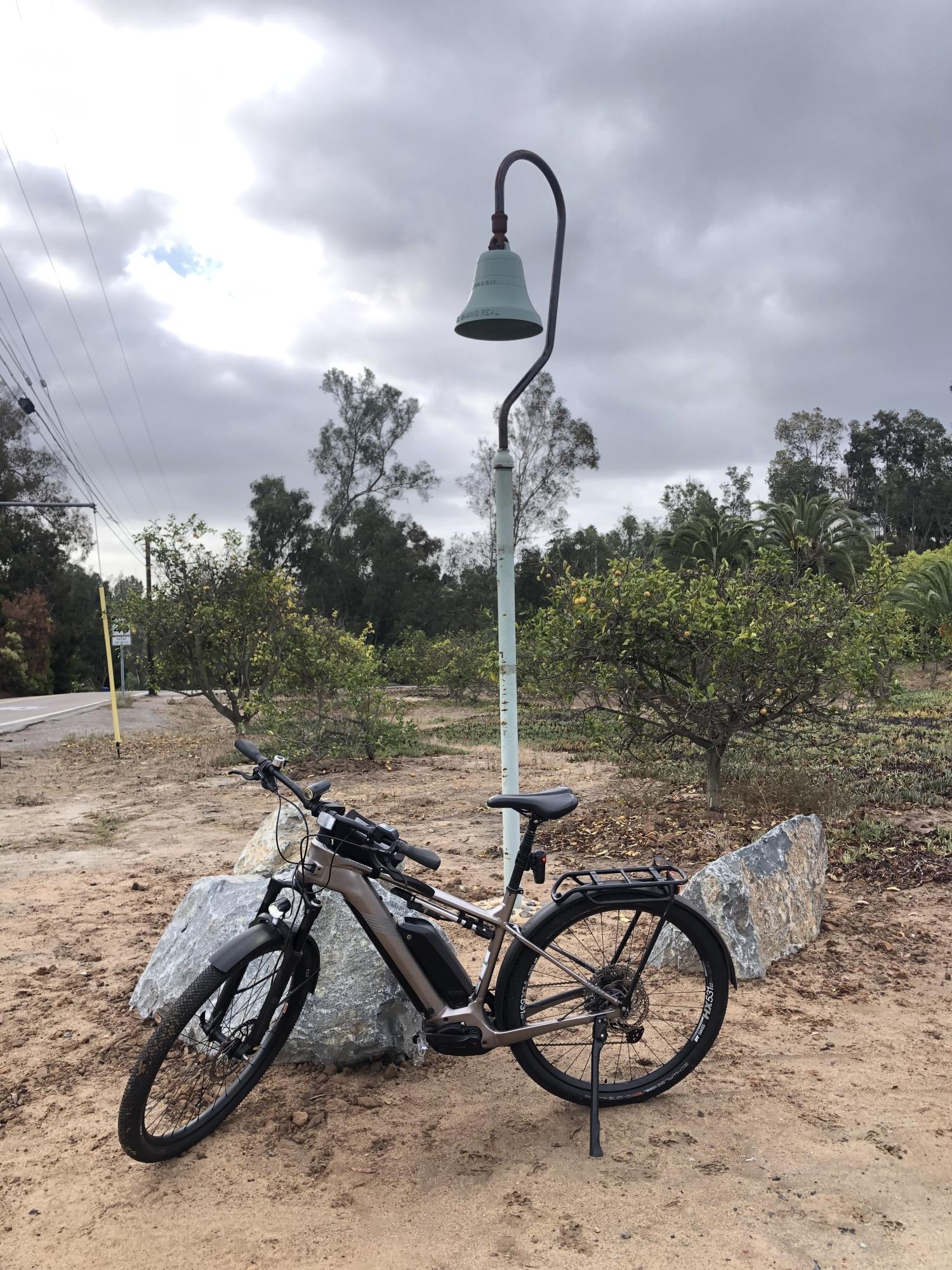 2021 Cannondale Tesoro Neo X1 (Large) Brown and Silver, gray or bare metal