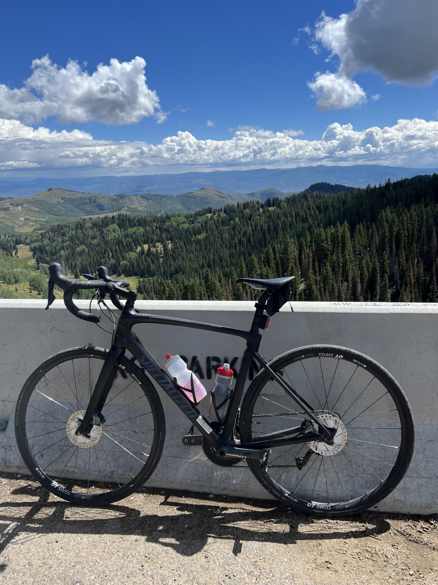 2020 Specialized Roubaix Comp Black