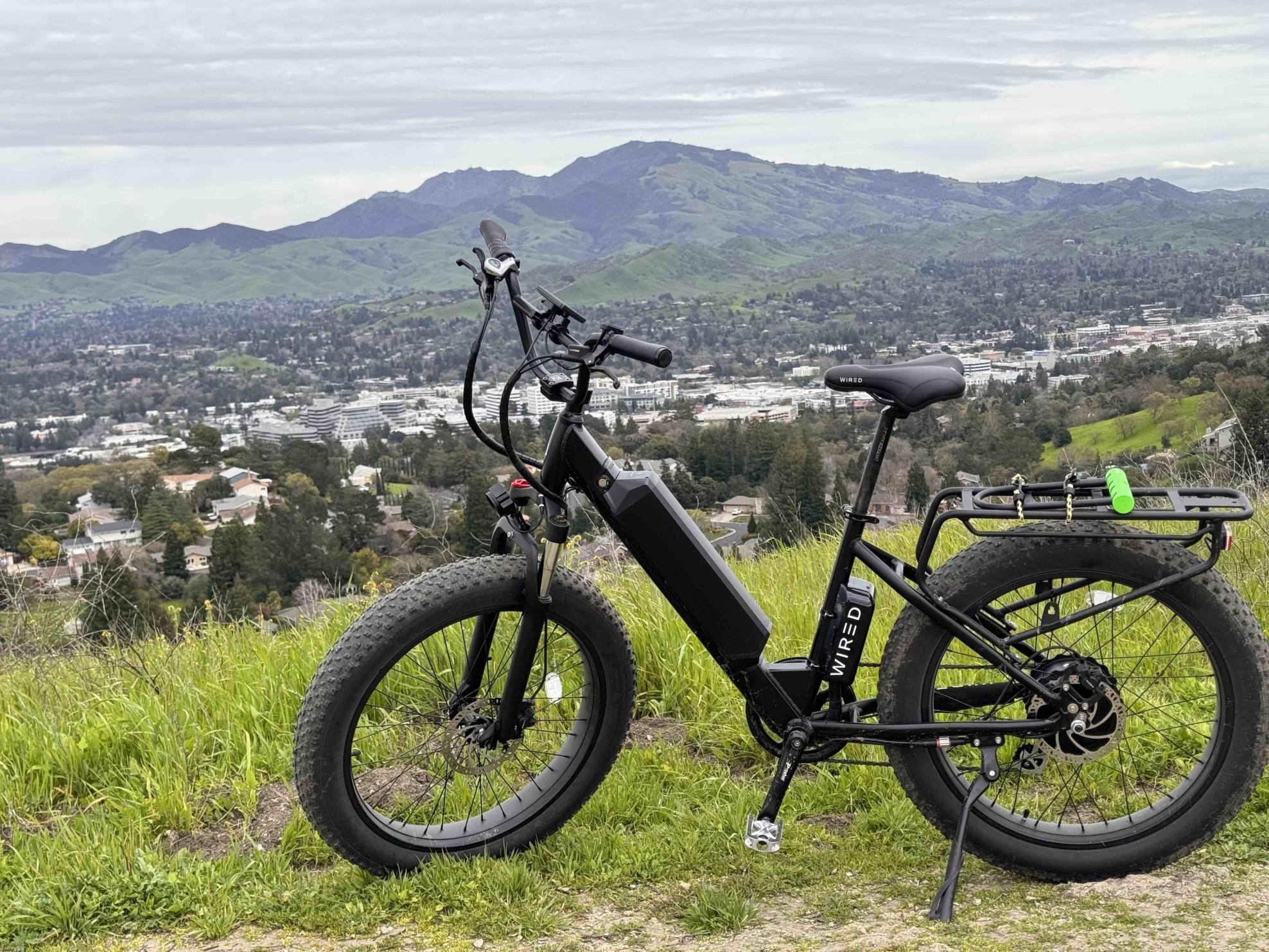 2023 Wired Cruiser Hardtail Black