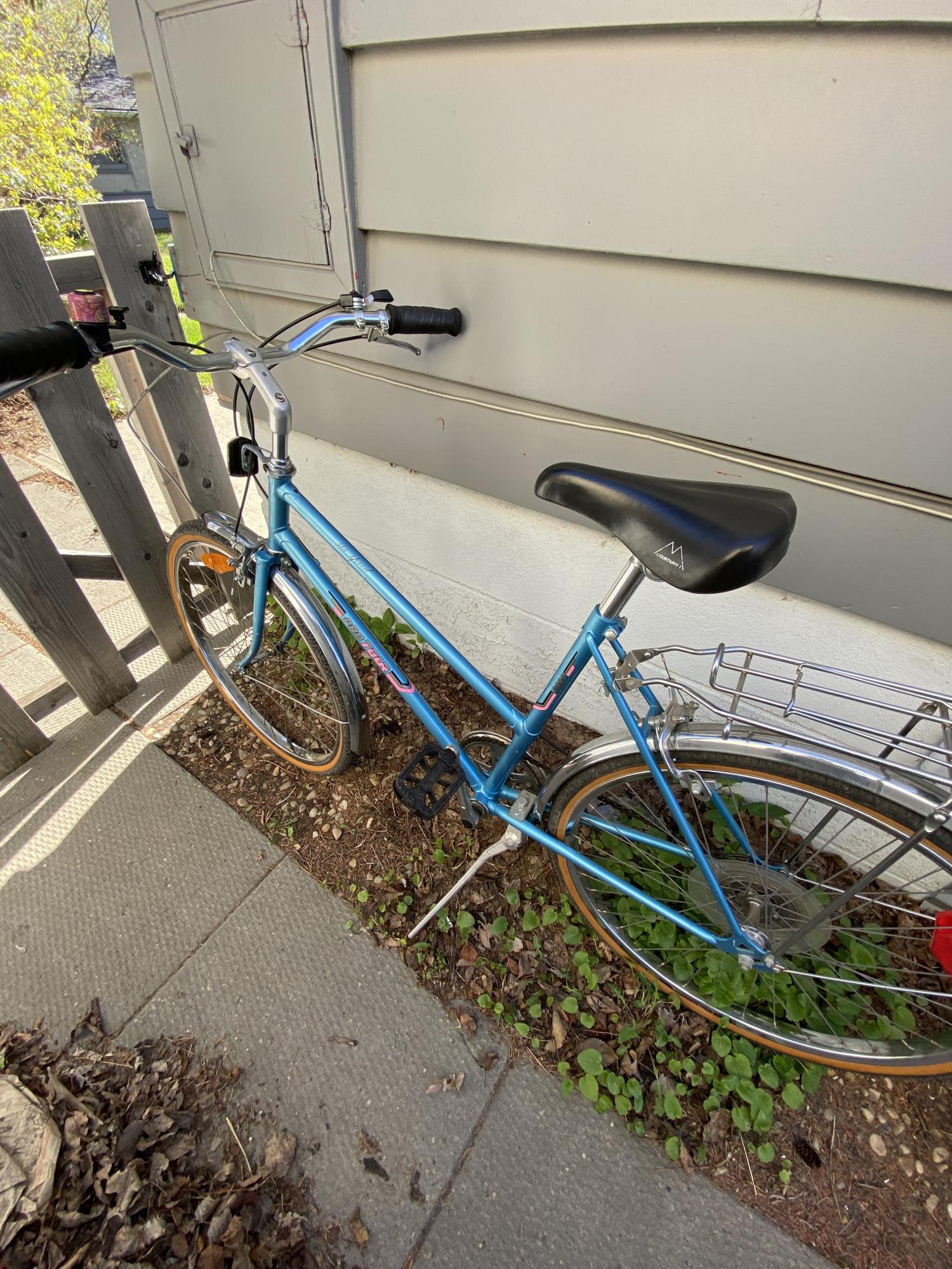 2024 mountainef vintage bike Blue