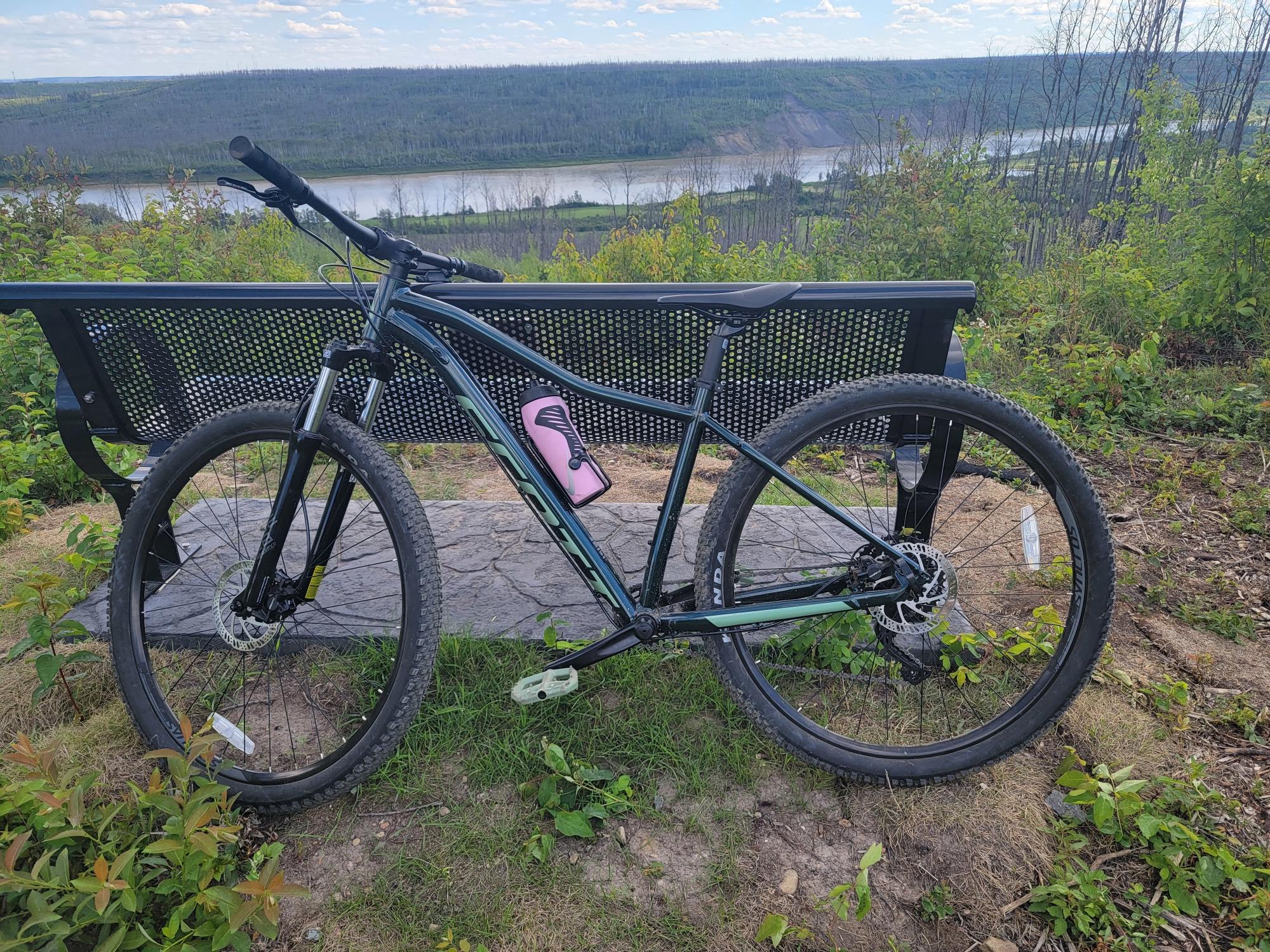SCOTT Contessa Green