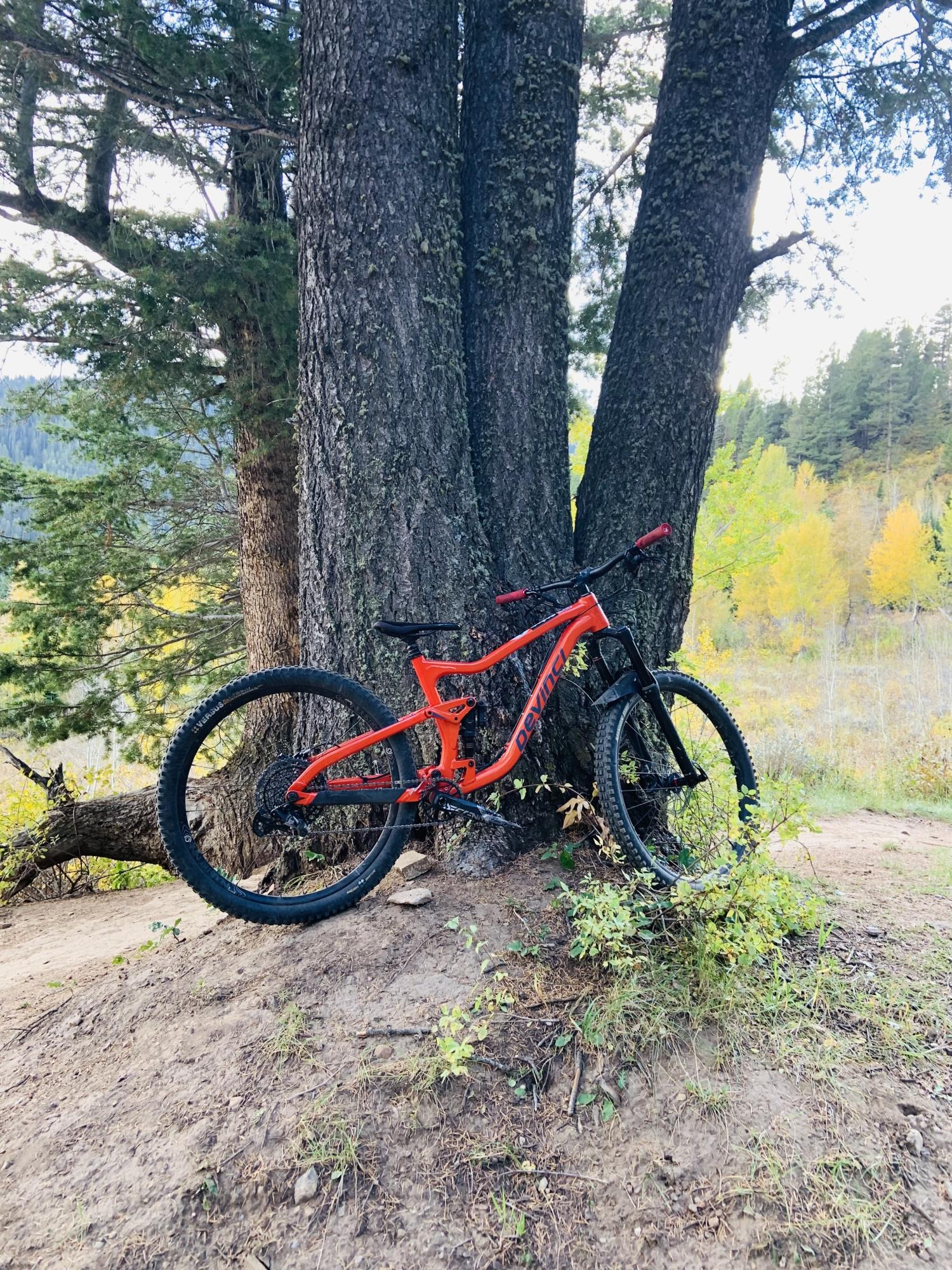 2022 Devinci Troy Orange