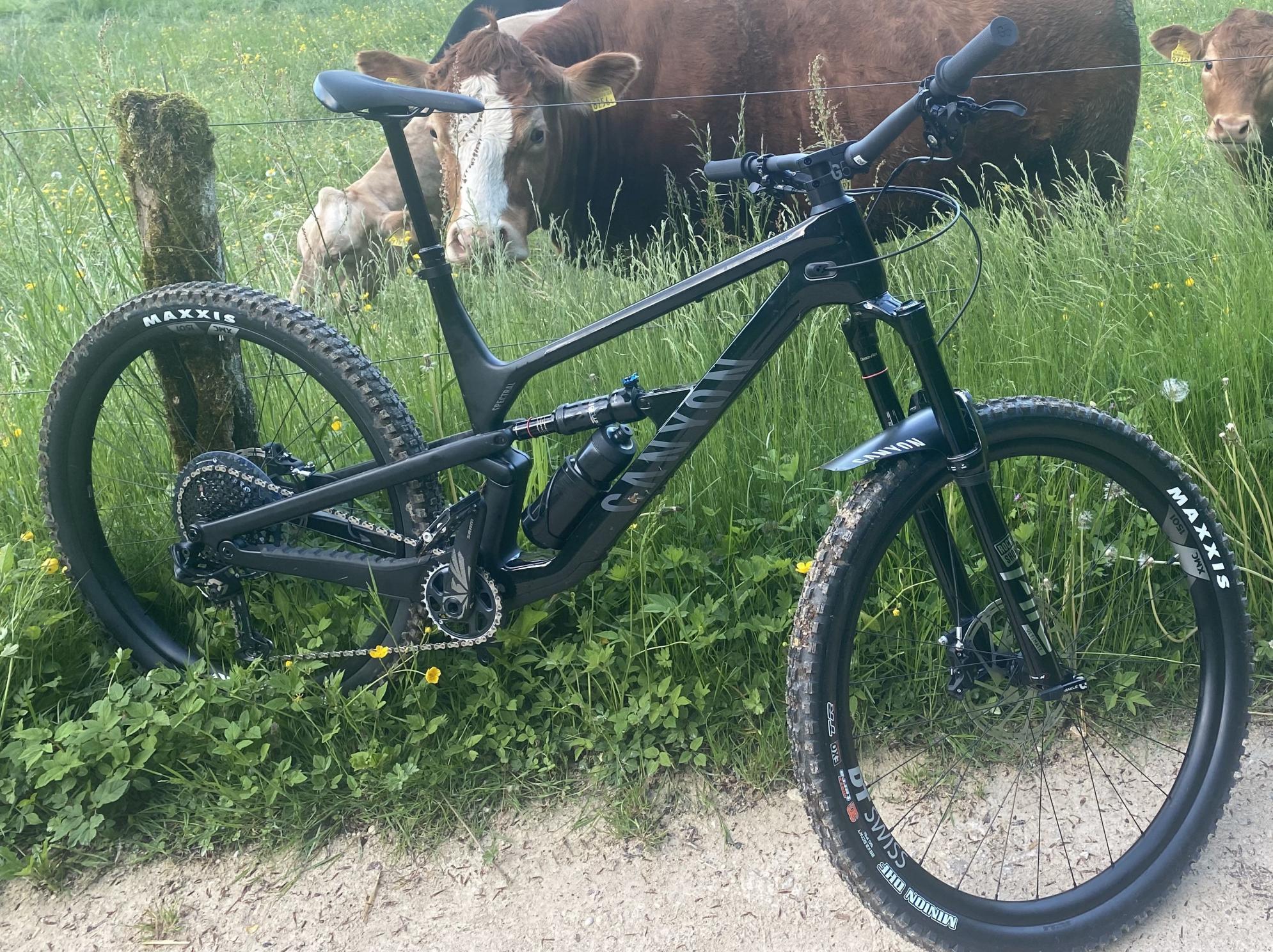 2021 Canyon bicycles Spectral CF 9 Black