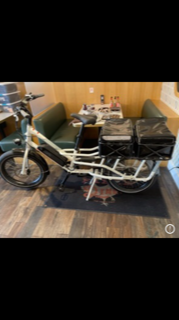 2020 Rad Power Bikes Rad Wagon Cargo Bike version 4-white White