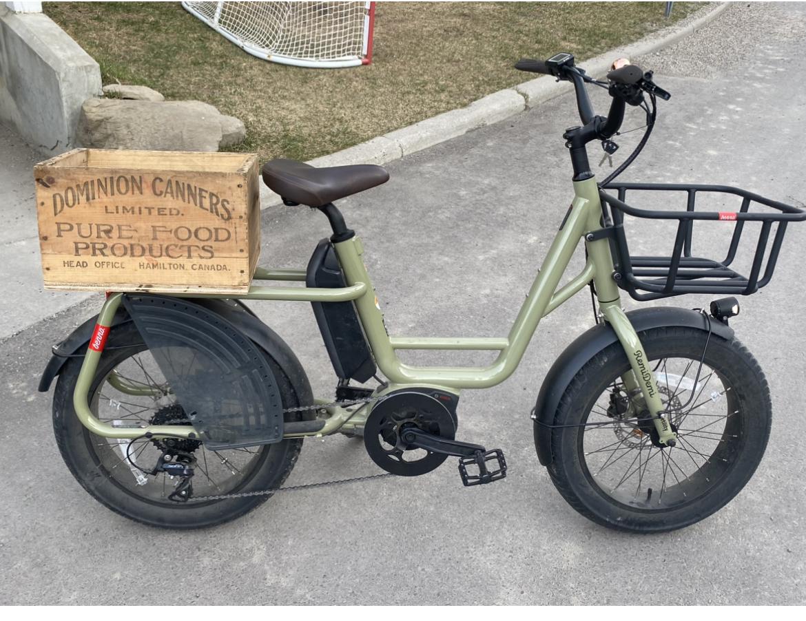 Benno Bike, RemiDemi Complete Electric Bike Green