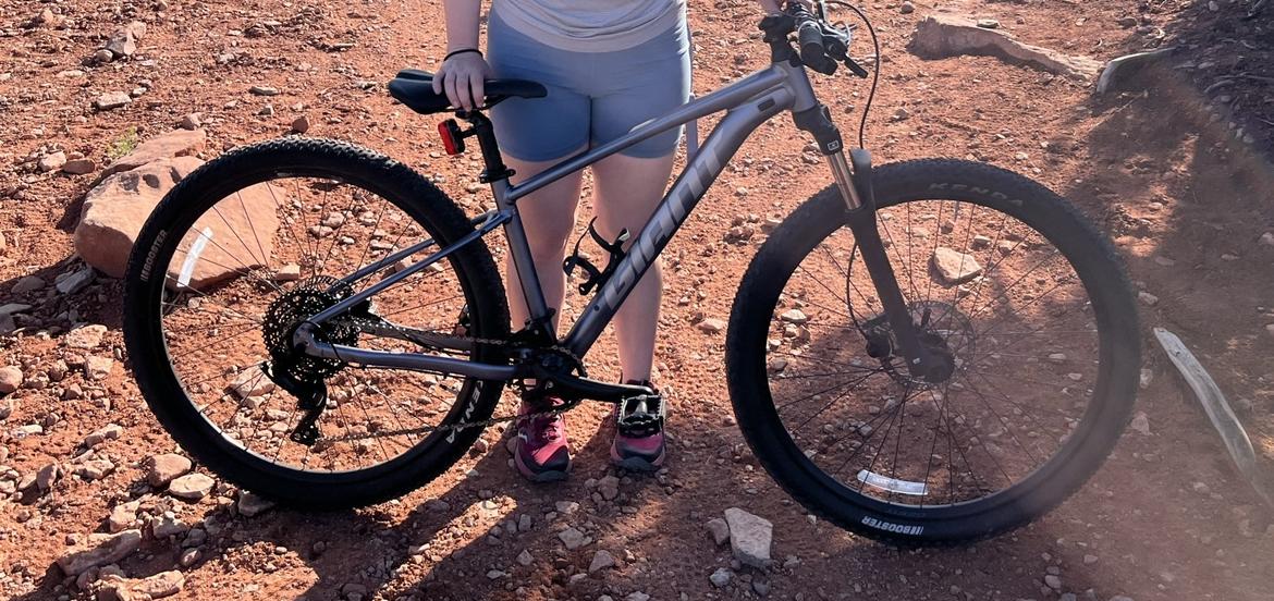 2023 Giant Knight Shield Build Silver, gray or bare metal