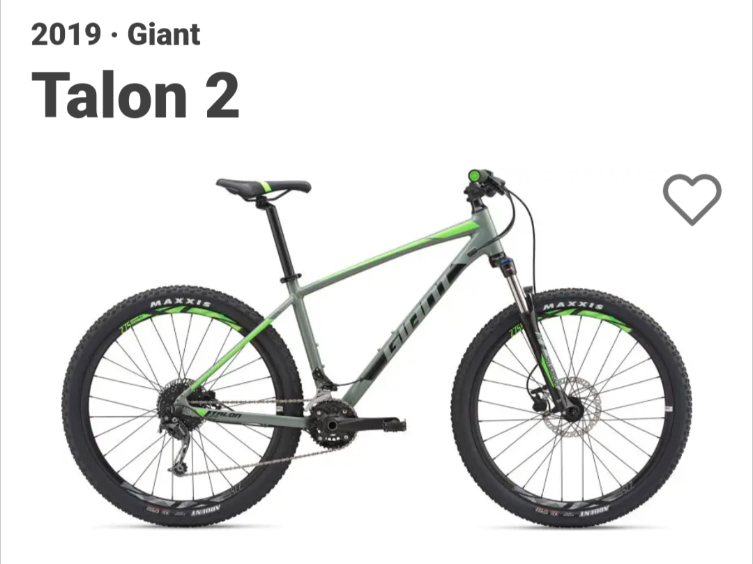 2019 Giant Talon 2 Silver, gray or bare metal and Green