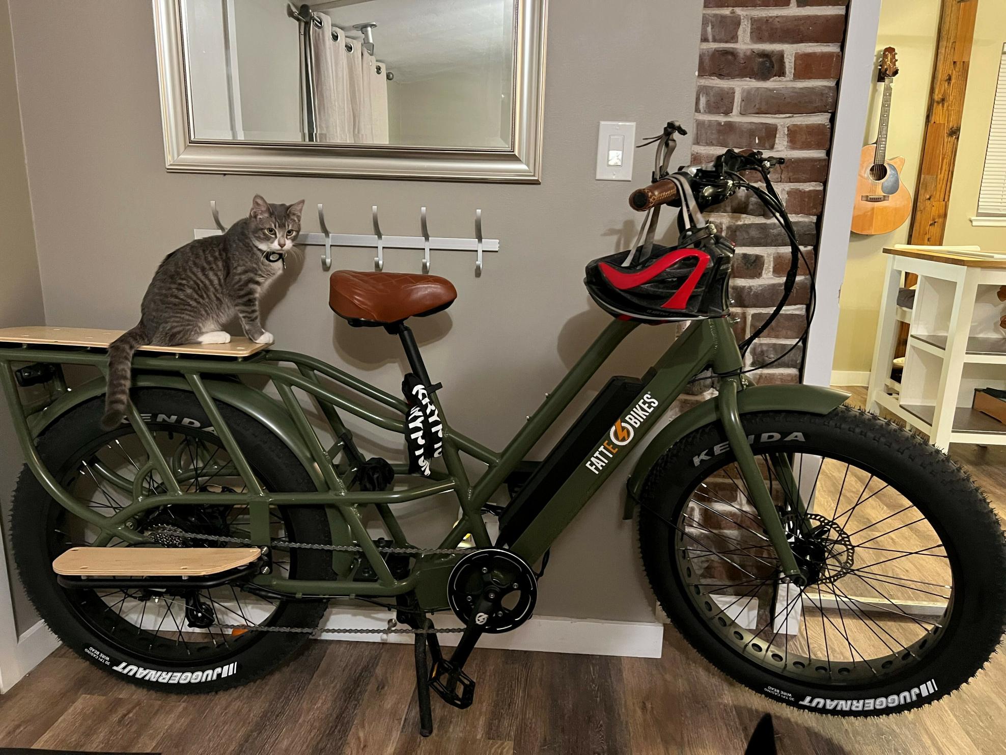 2022 FattE-Bikes Major T Cargo cargo bike (rear storage) Green