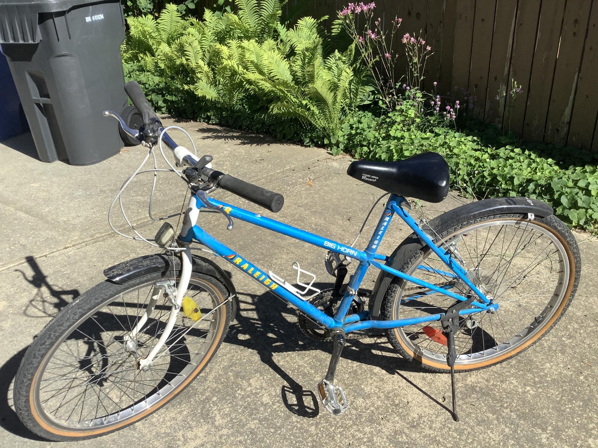 1980 Raleigh Big Horn Blue and White