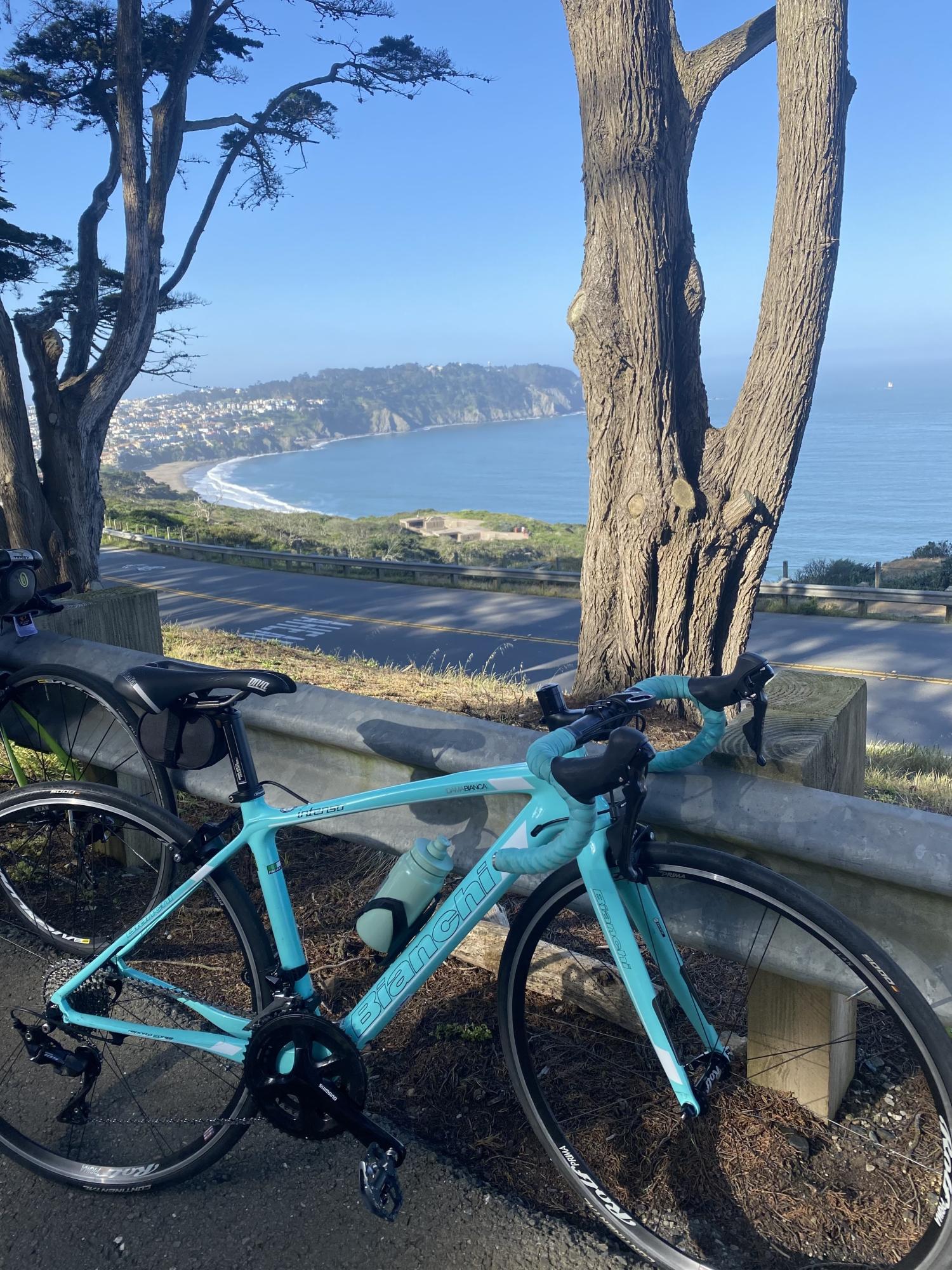 2019 Bianchi DamaBianchi Green