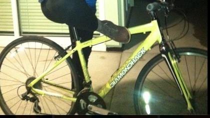 Diamond Back insight  Black