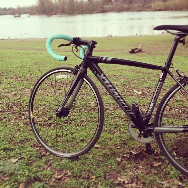 2013 Specialized Langster  Black