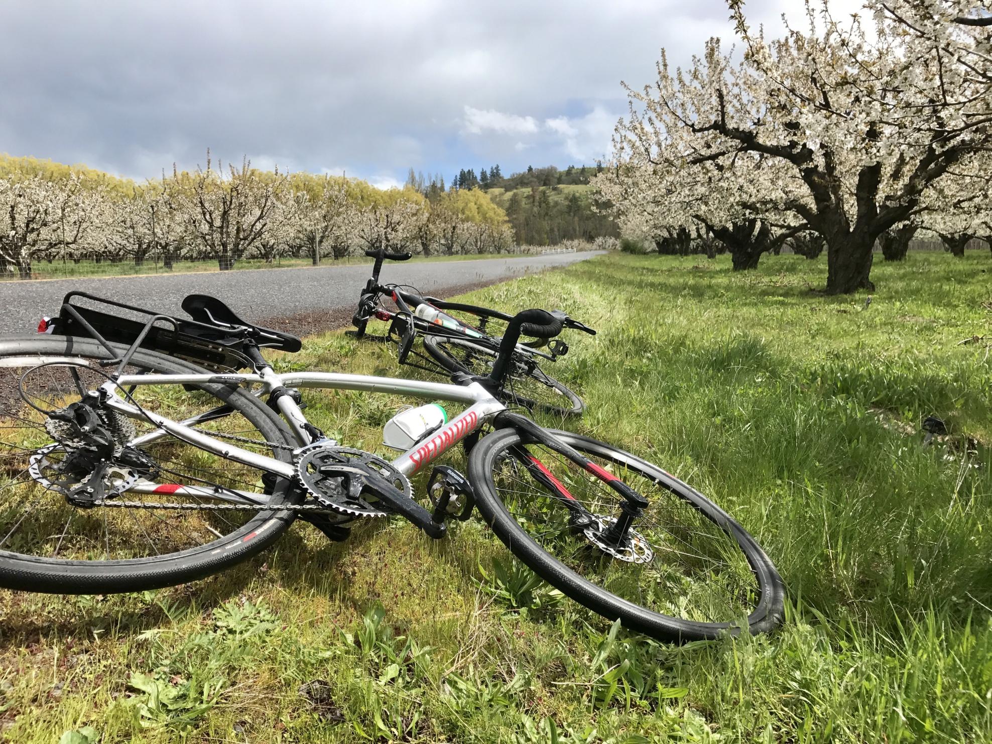 2015 Specialized Diverge Comp DSW Silver or Gray