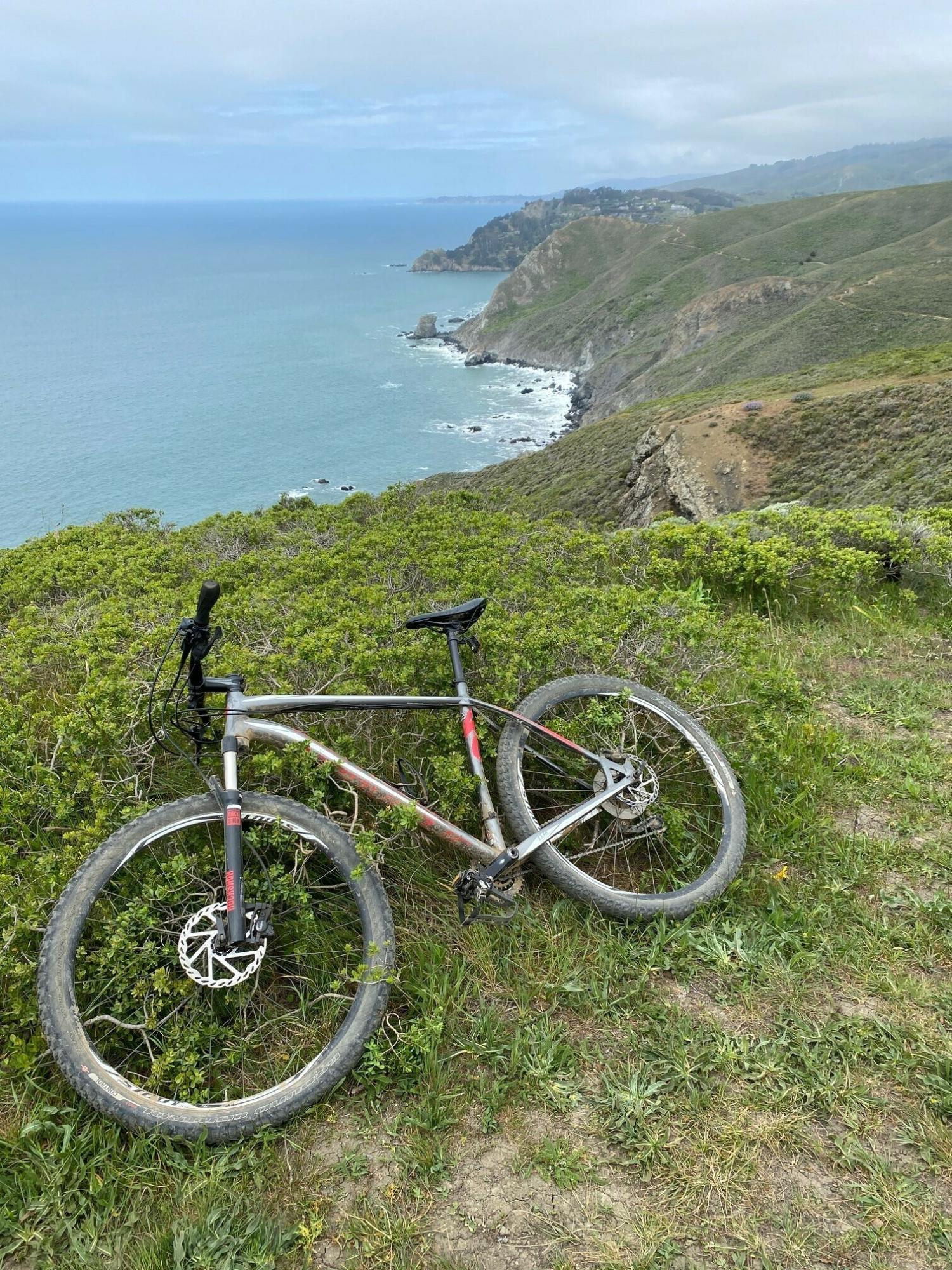 2014 Specialized Silver, gray or bare metal, Red, and White