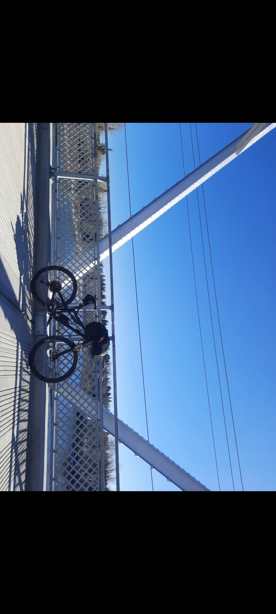 2017 Intense Spider 29c Black