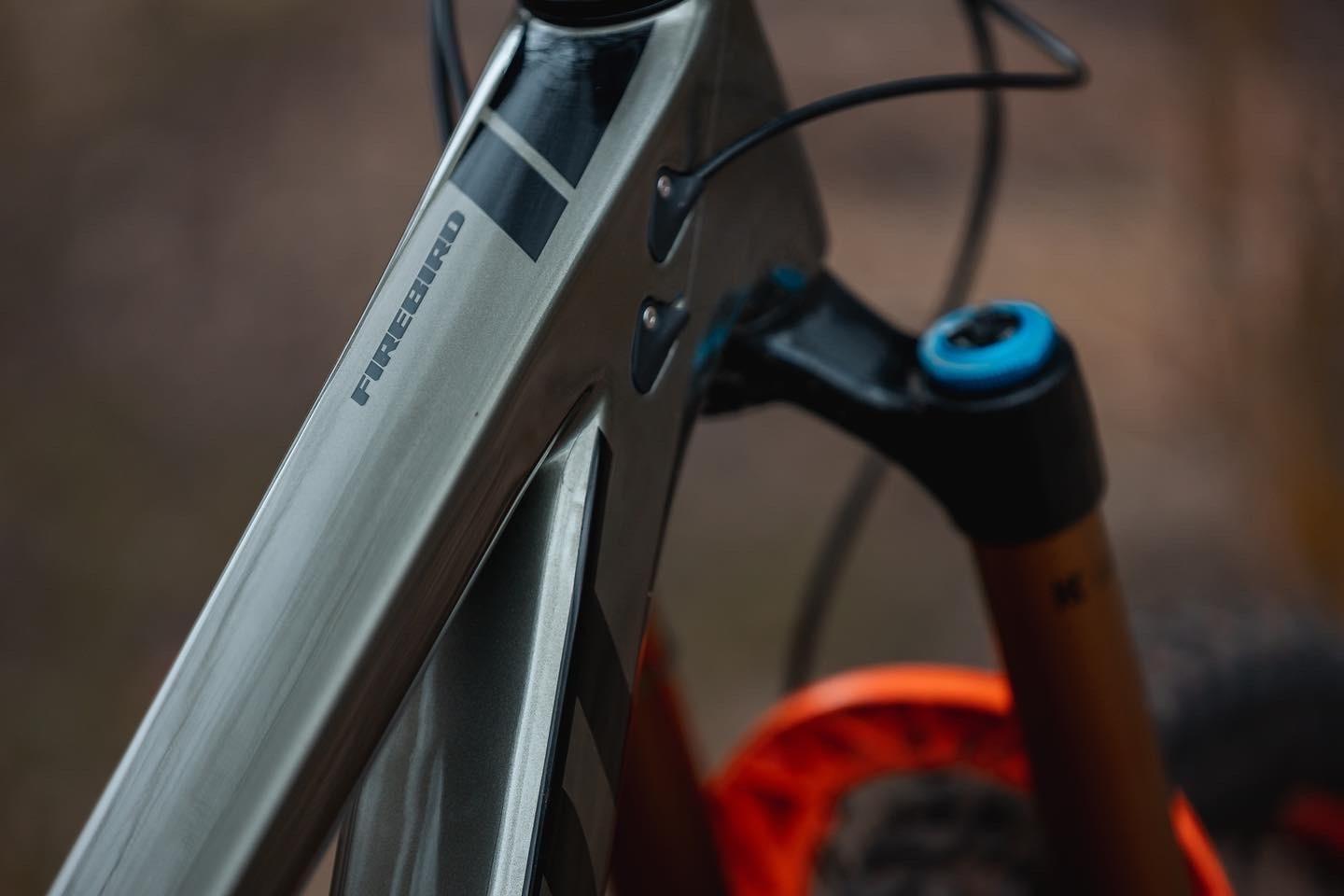 2022 Pivot Firebird Green