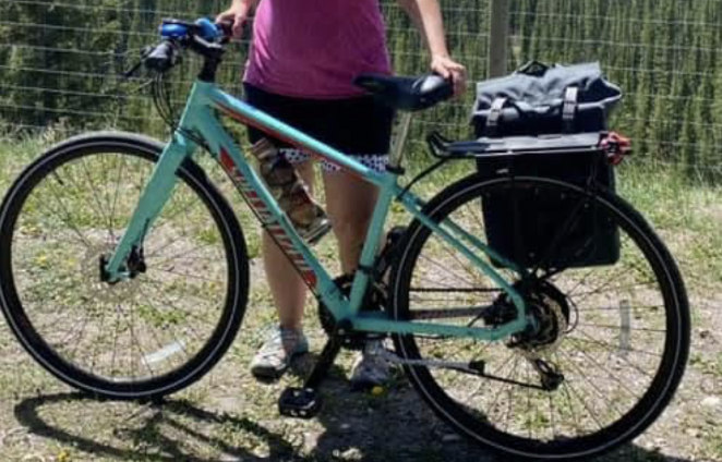 2017 Specialized Vita Sport Blue