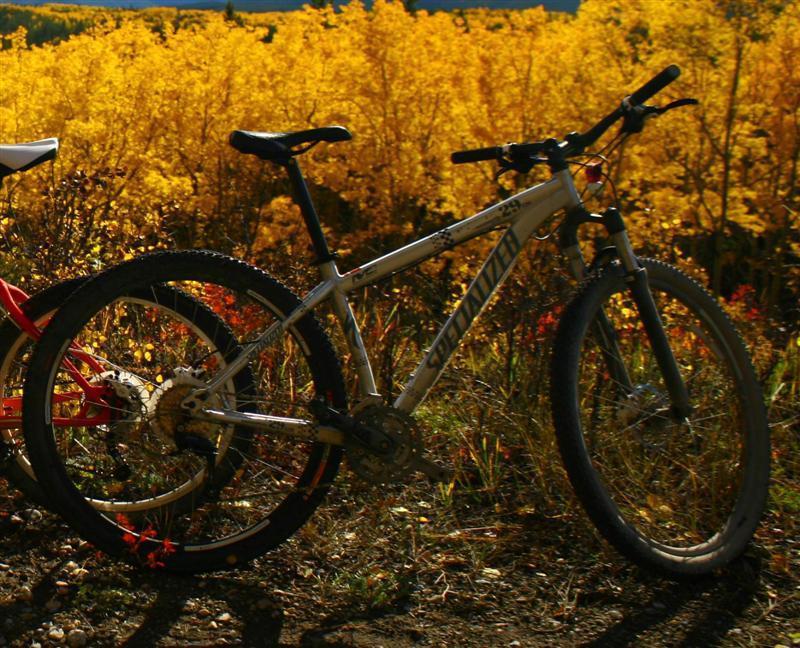 2009 Specialized rockhopper 29er  Black