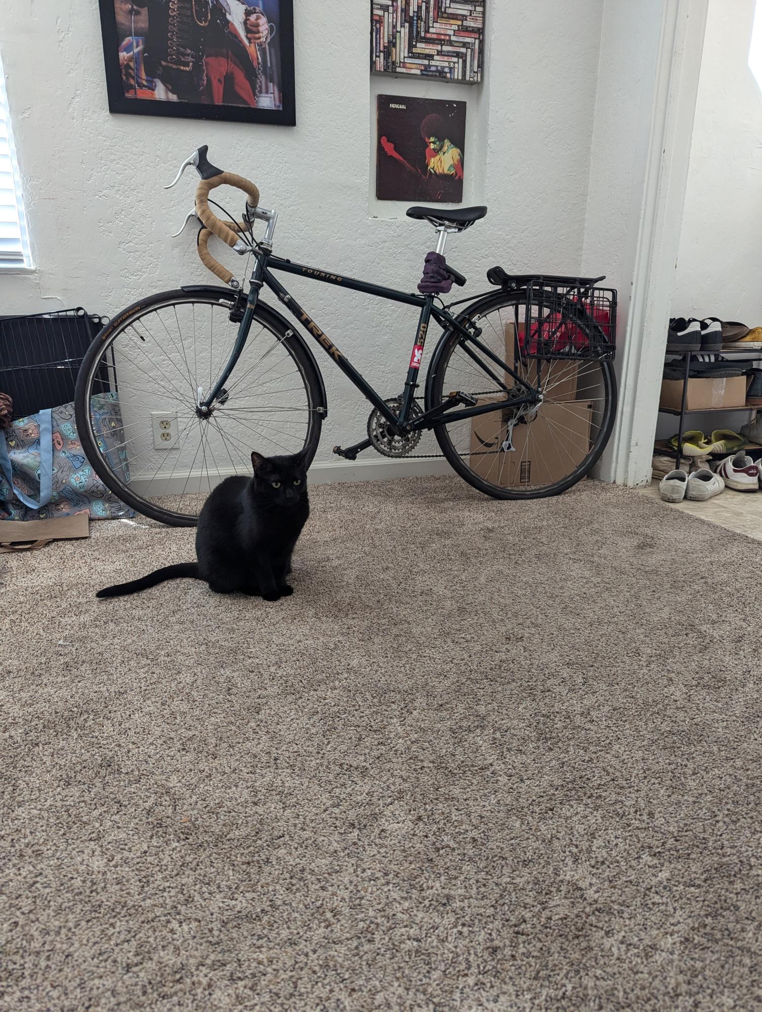 1995 Trek 520 Green
