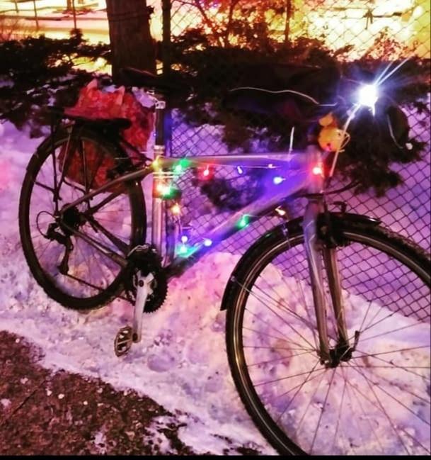 2010 Trek 7.3FX Silver, gray or bare metal