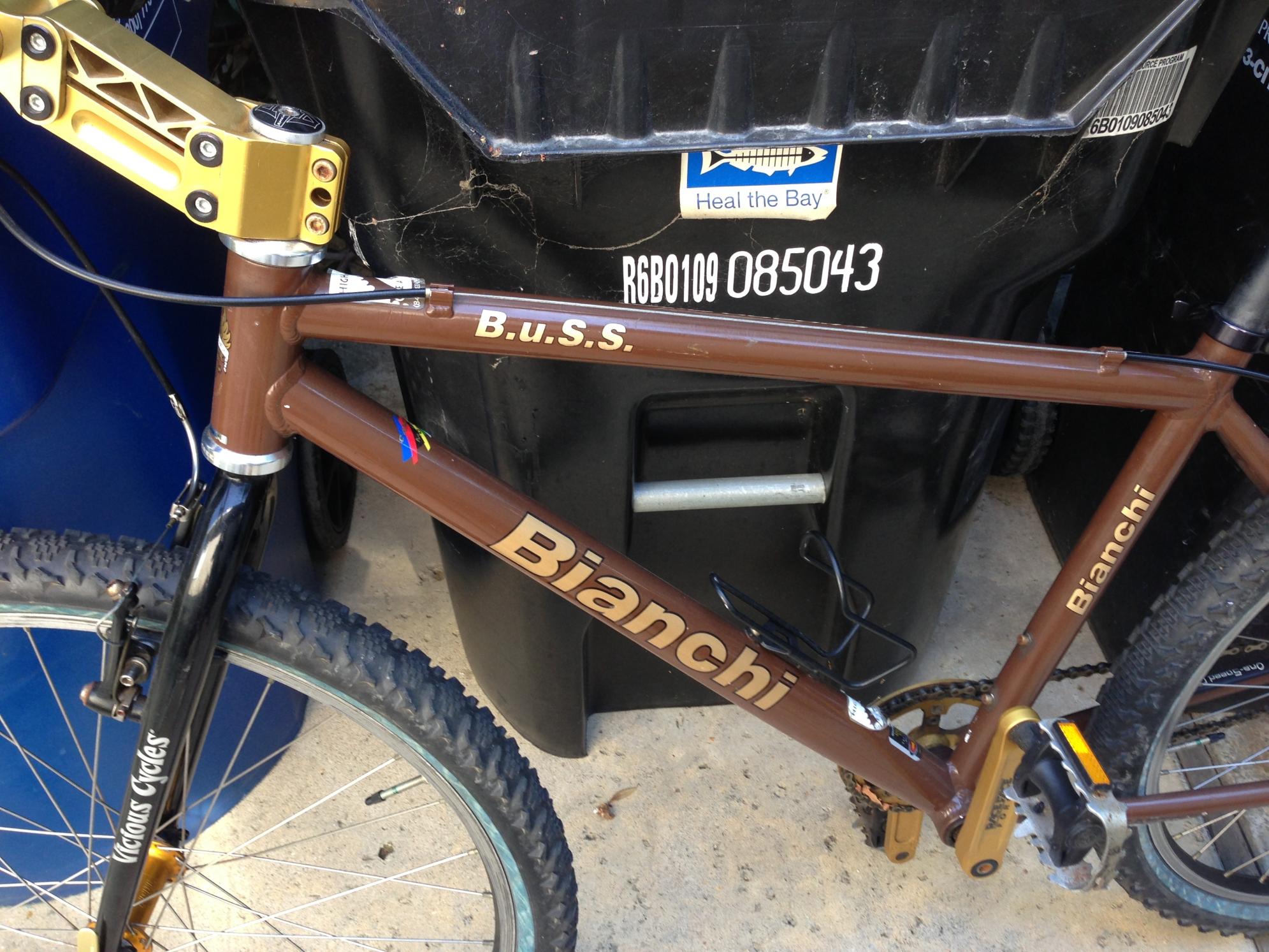 2003 Bianchi B.u.S.S. Brown