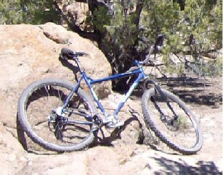 2008 Salsa El Mariachi SS 29er Blue
