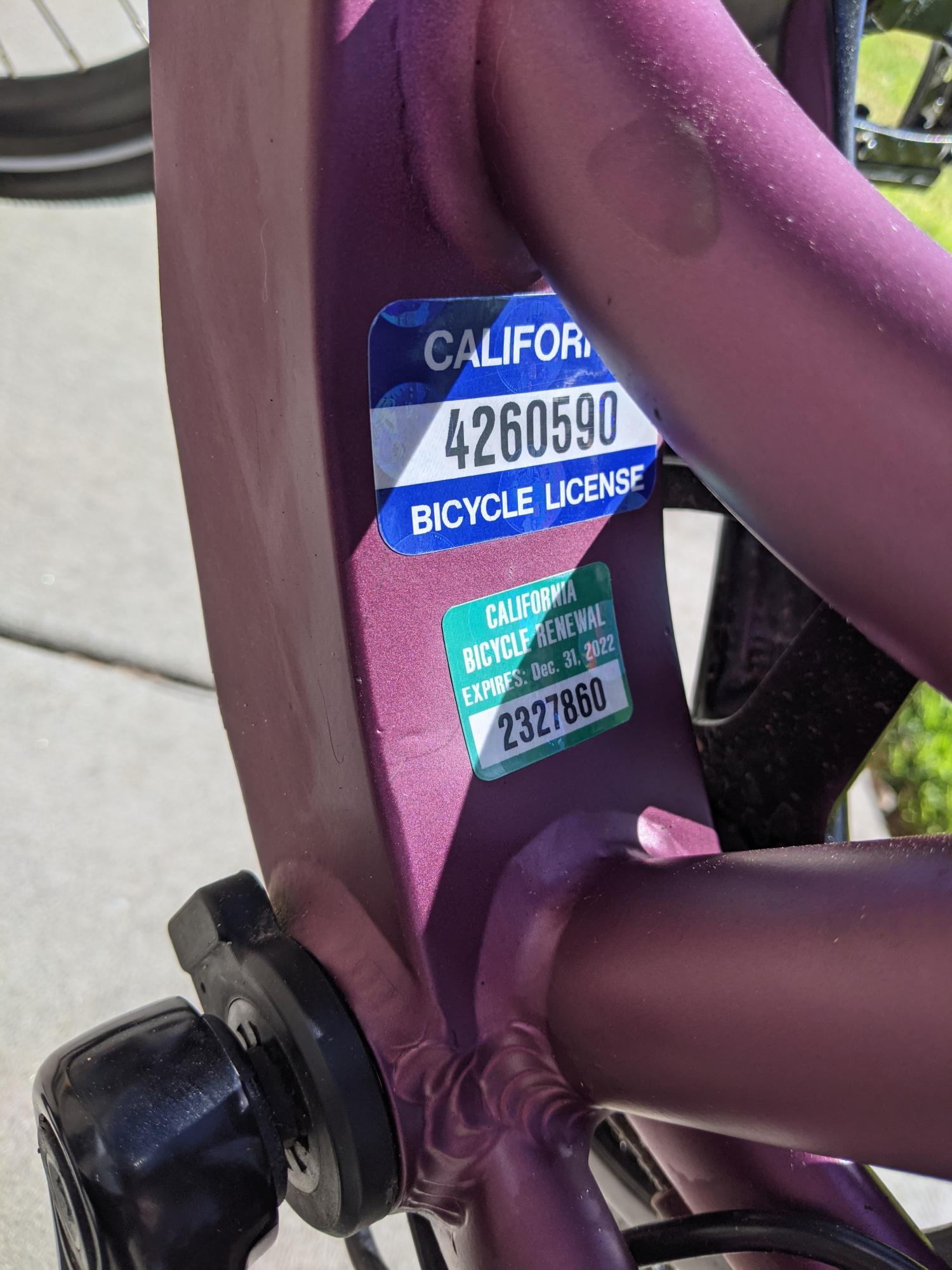 2020 Aventón Pace 350.1 ST Purple