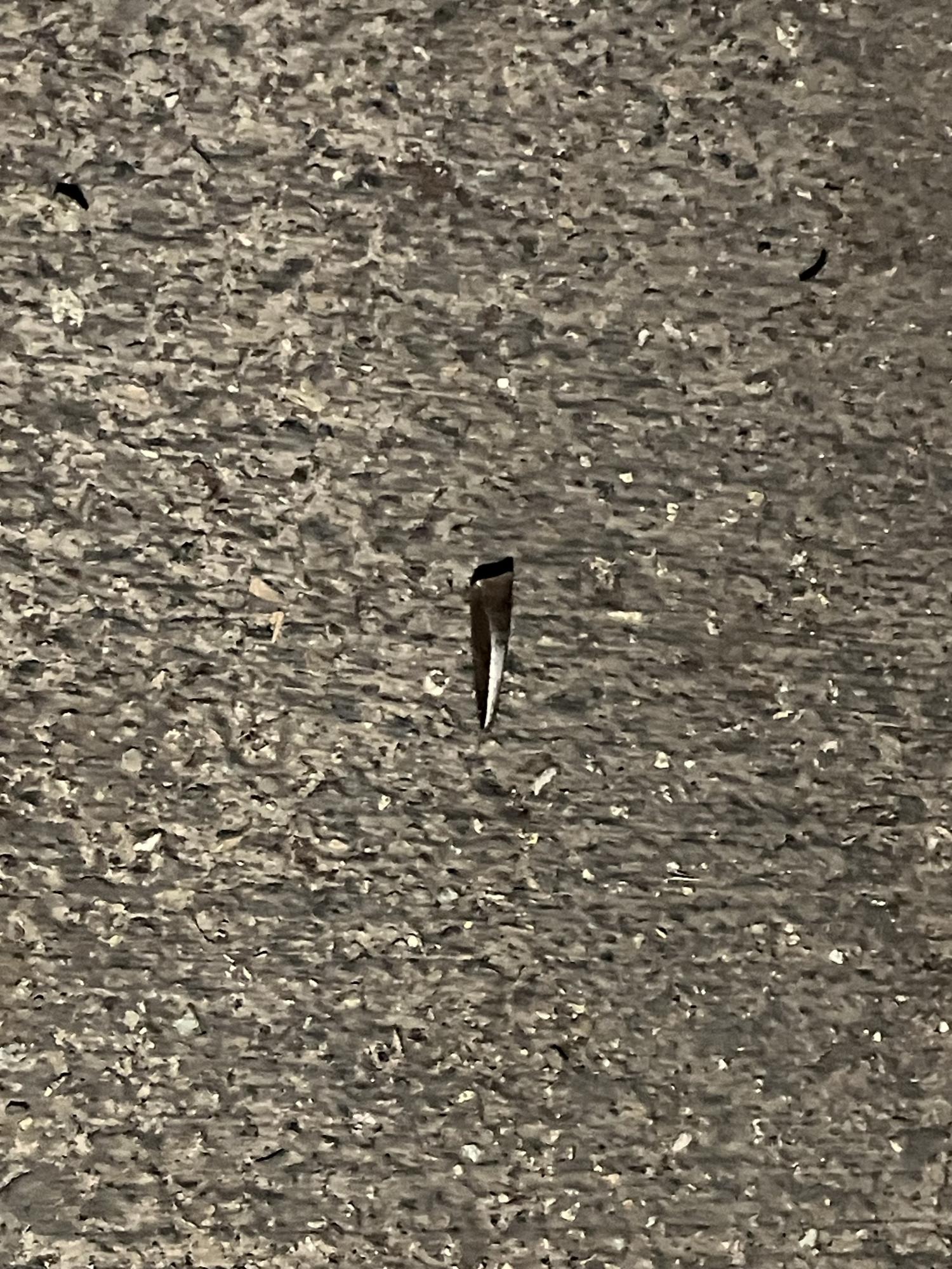 2023 Rad Power Bikes Rad wagon 4 Orange