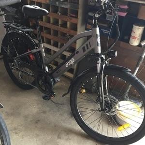 2020 Ebgo Female style Silver, gray or bare metal