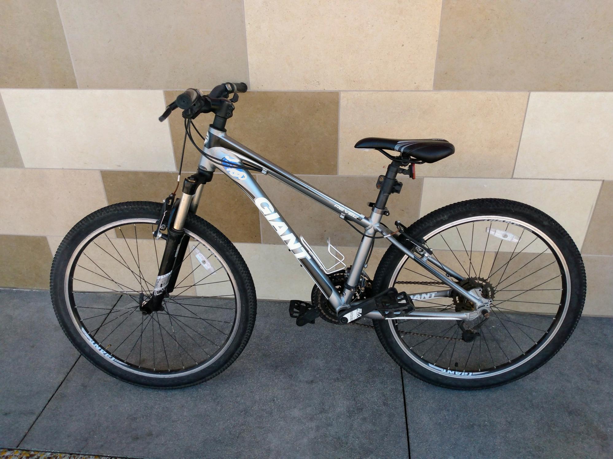 Giant Revel 2 Silver, gray or bare metal