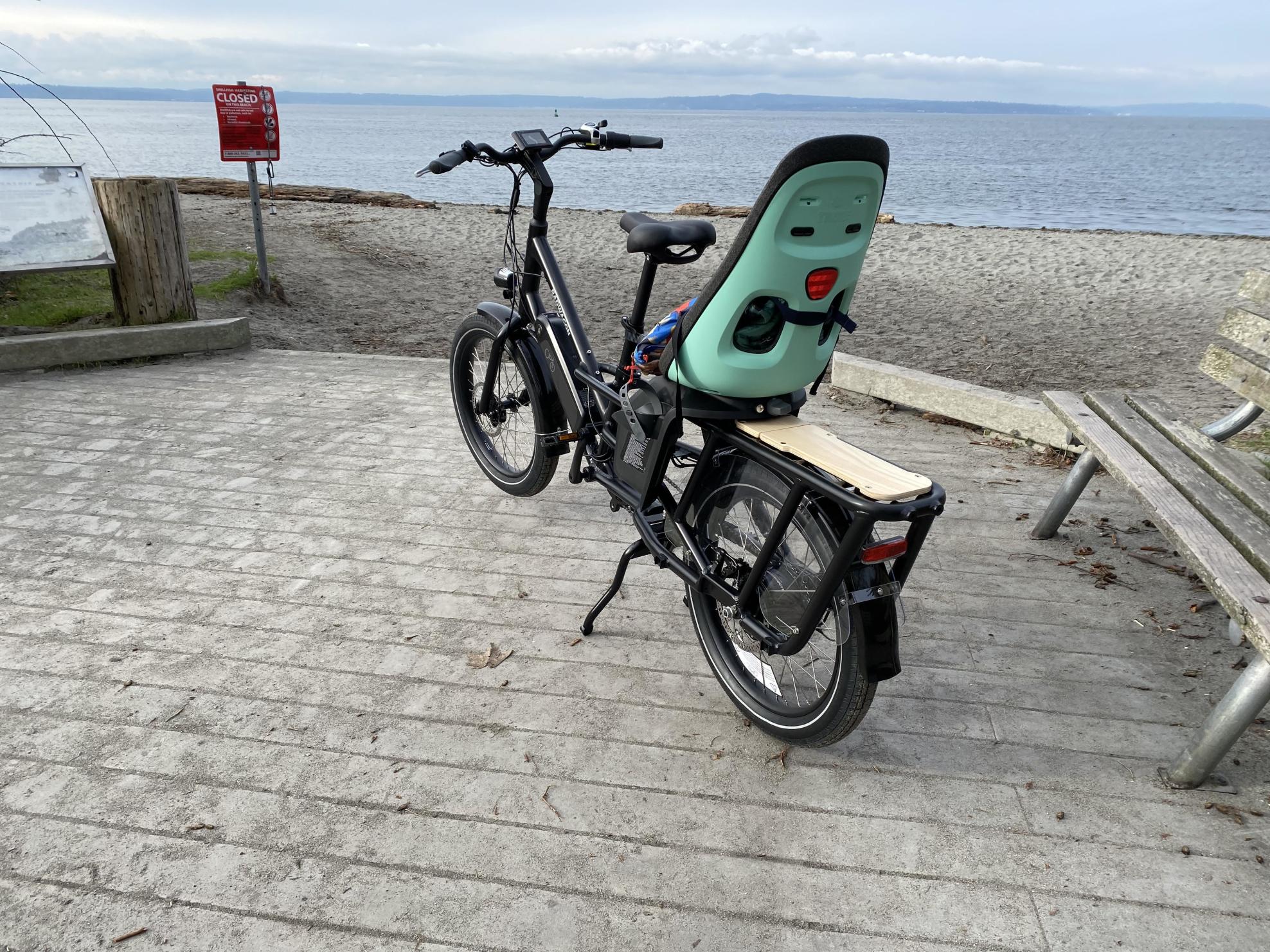 2020 Rad Power Bikes Radwagon 4 cargo bike (rear storage) Black