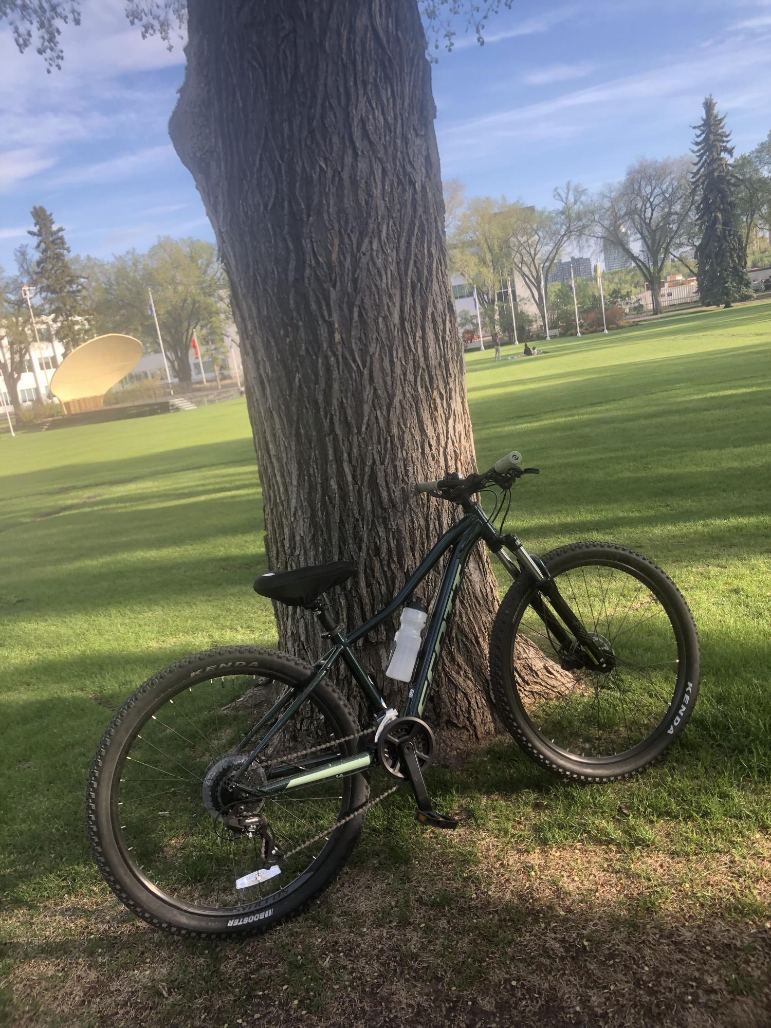 2021 SCOTT Contessa active 50 Green