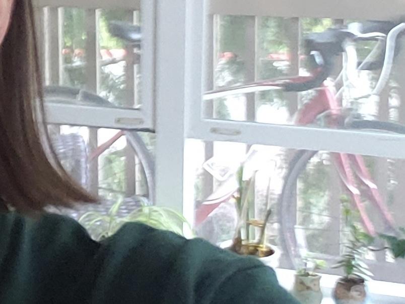 2013 Specialized Dolce Red