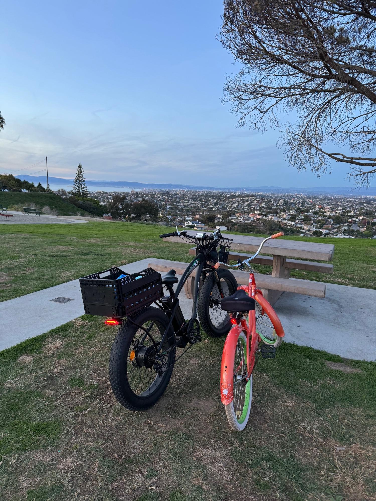 2024 Ecotric Hammer Black and Green