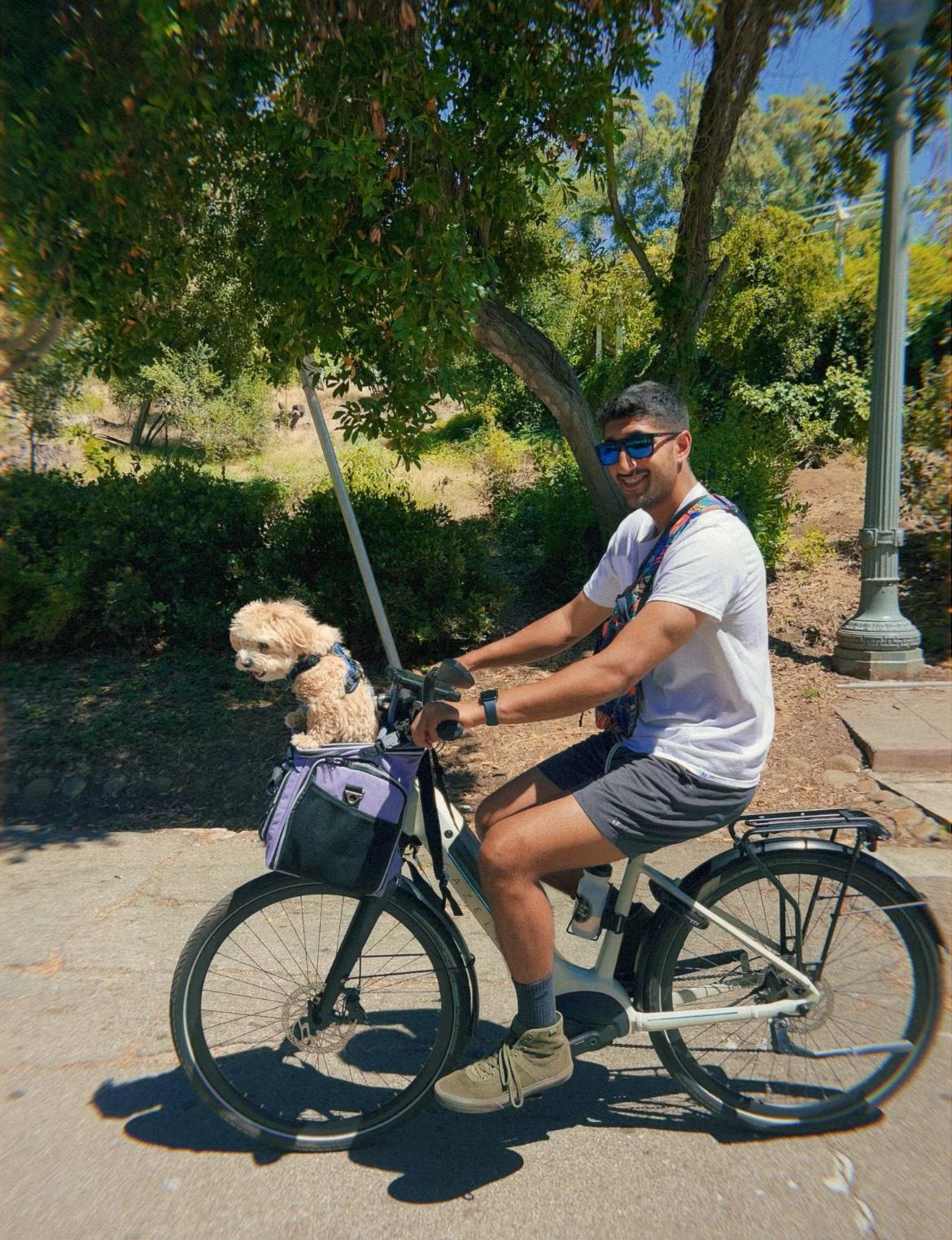 2024 Gazelle Ultimate T10 HMB Low-Step White