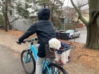 2020 Haro Flight-line Teal