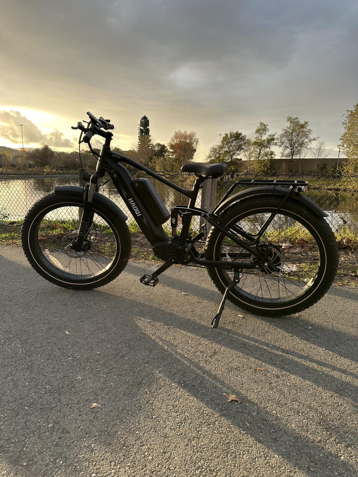 2024 HAOQI Cheetah Dual Motor Black