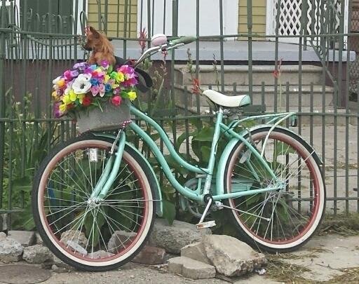 2014 Schwinn Teal
