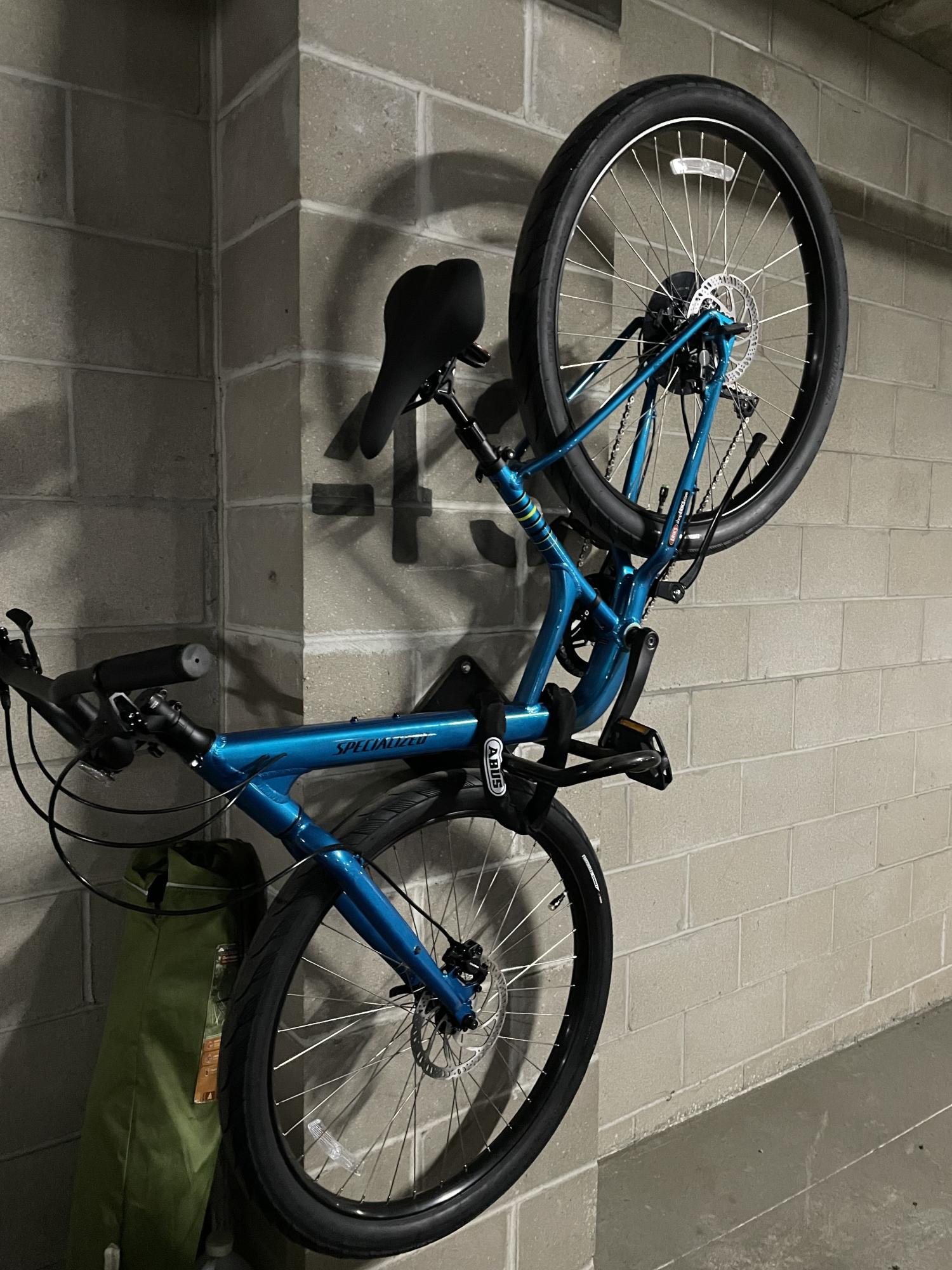 Specialized Blue