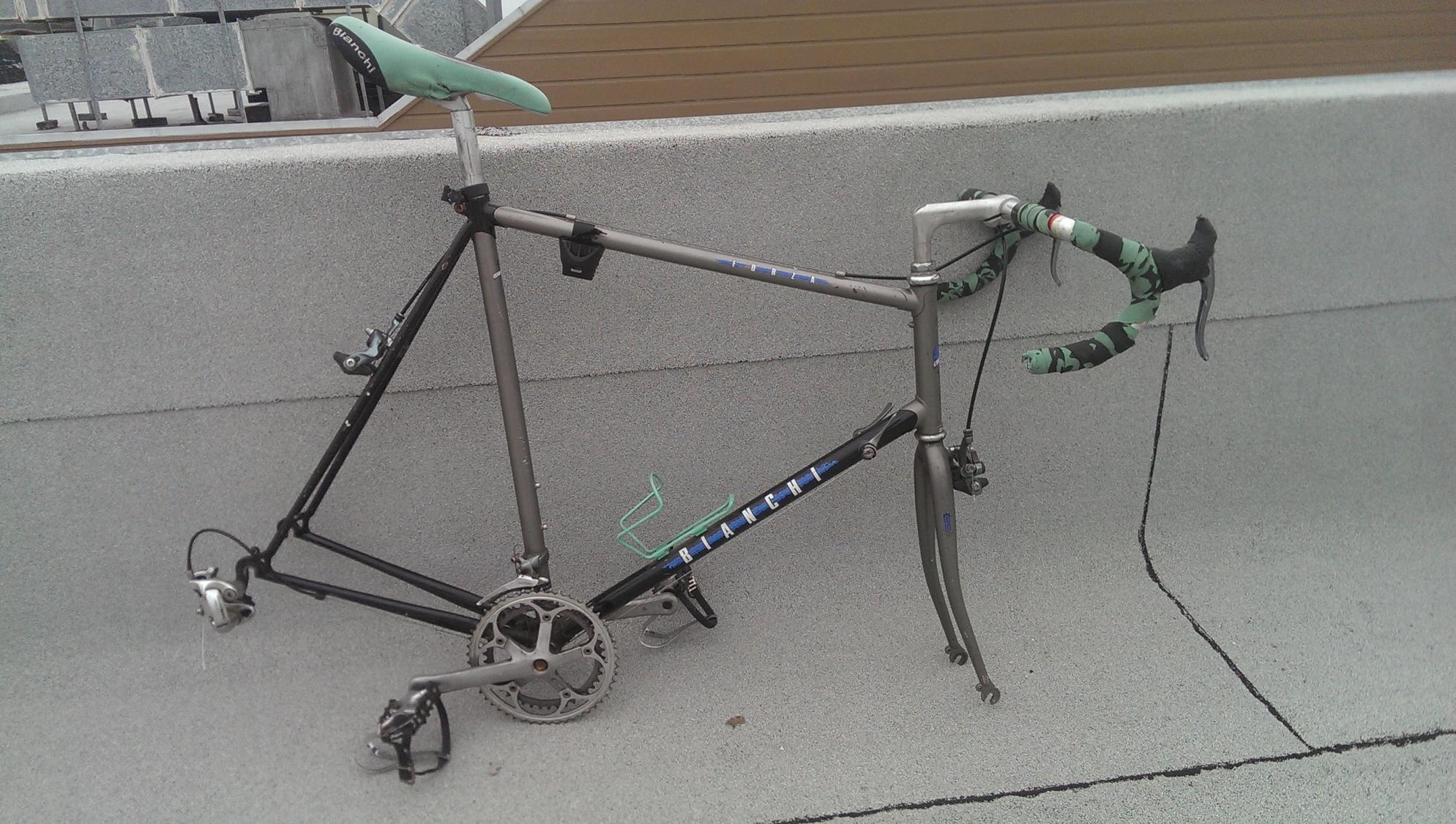 Bianchi Forza Silver or Gray