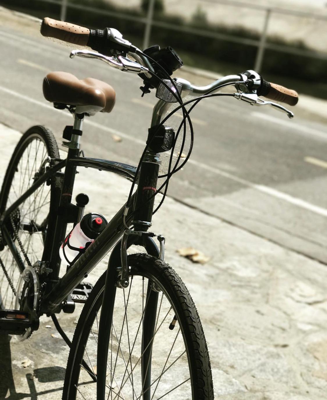 2017 Bianchi Cortina Blue