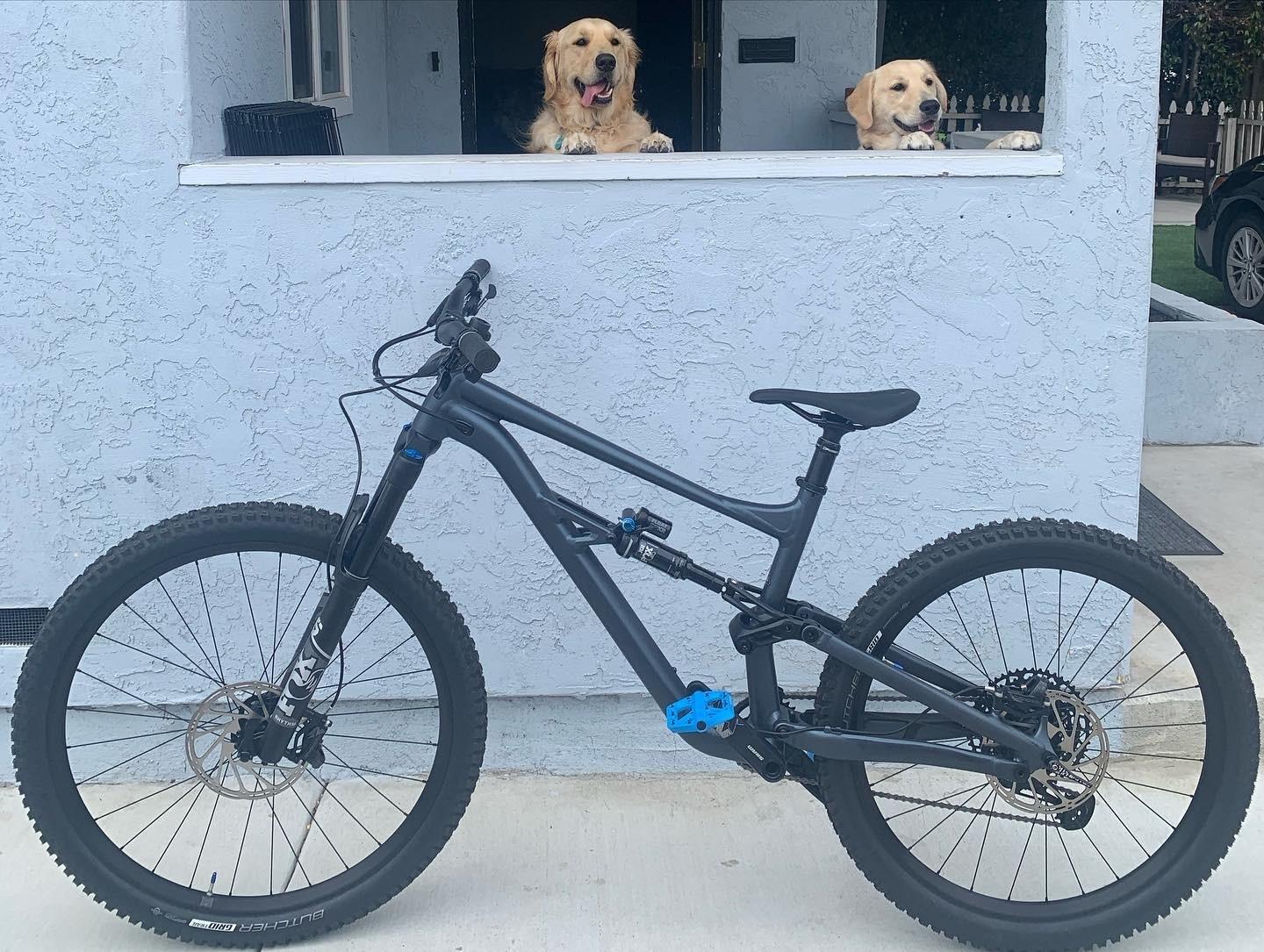 2021 Specialized Status Black and Blue