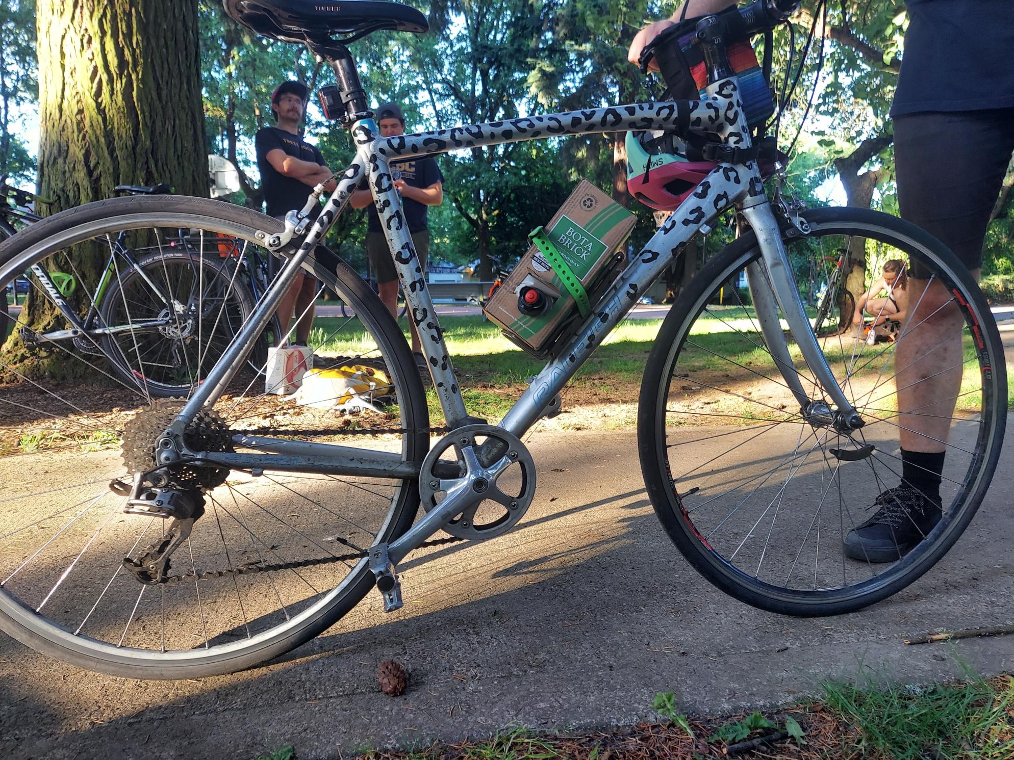 Raleigh Silver, gray or bare metal and Stickers tape or other cover-up