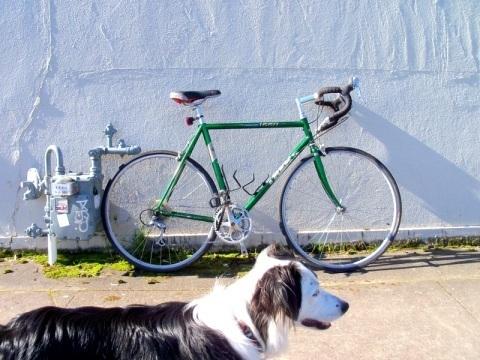 Trek 1200 ALV  Green